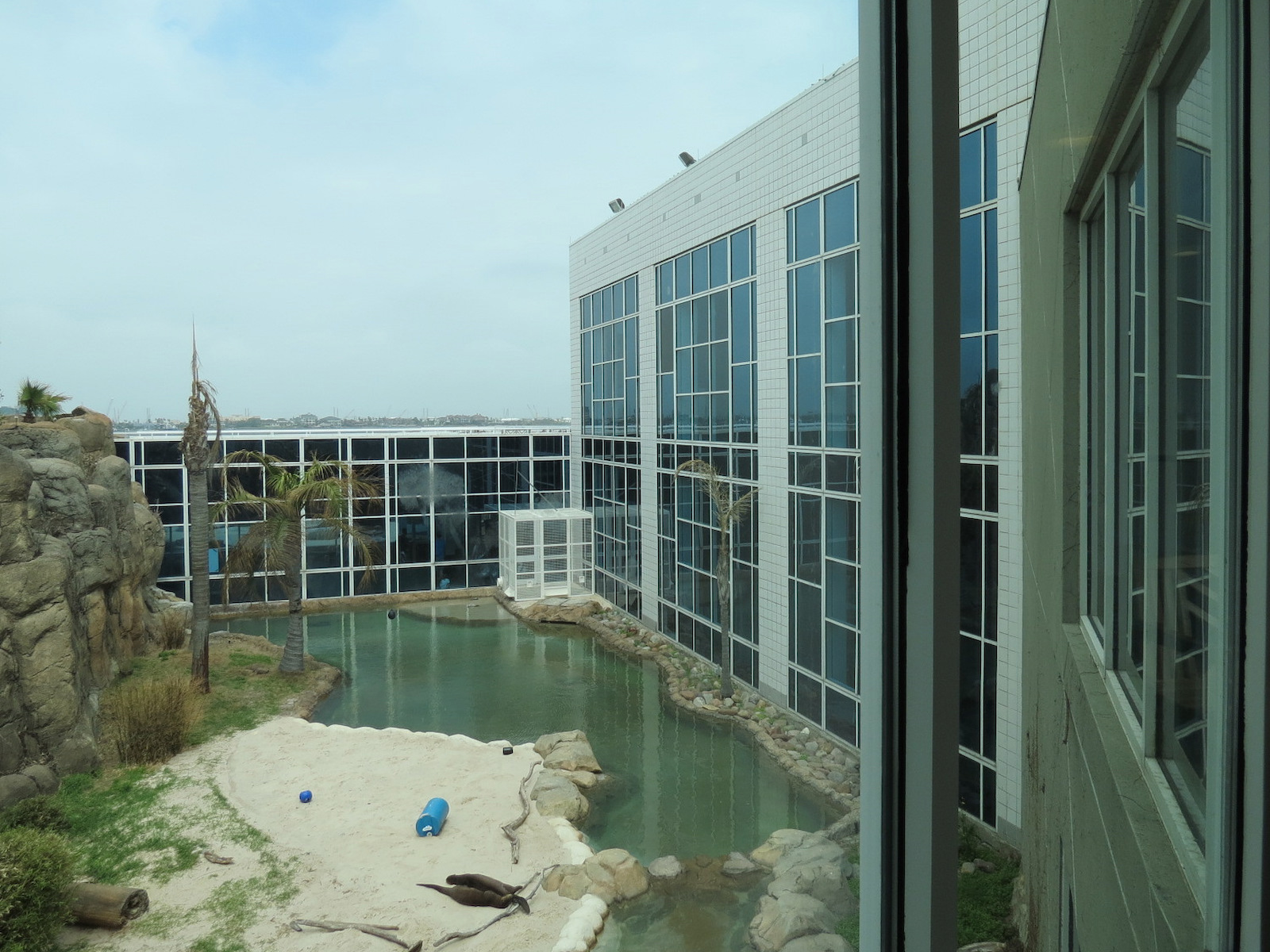 Rainforest - Giant River Otter Exhibit