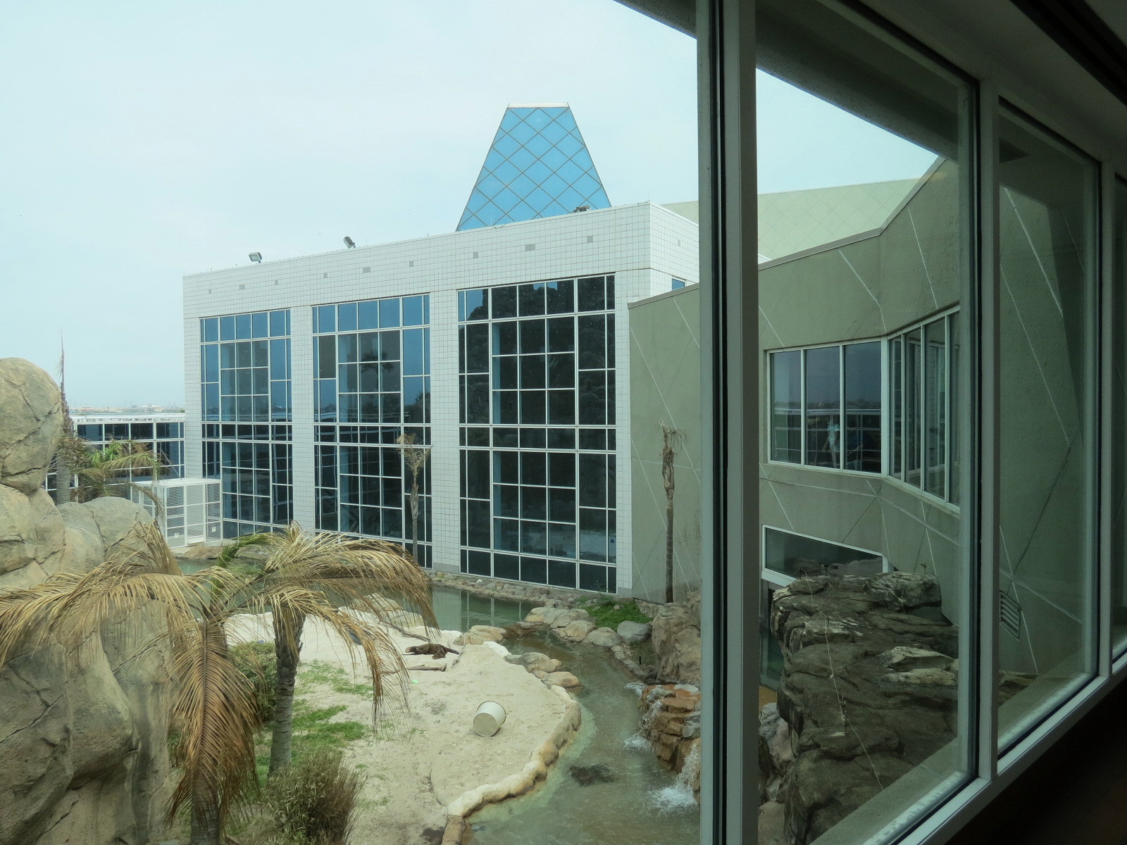 Rainforest - Giant River Otter Exhibit