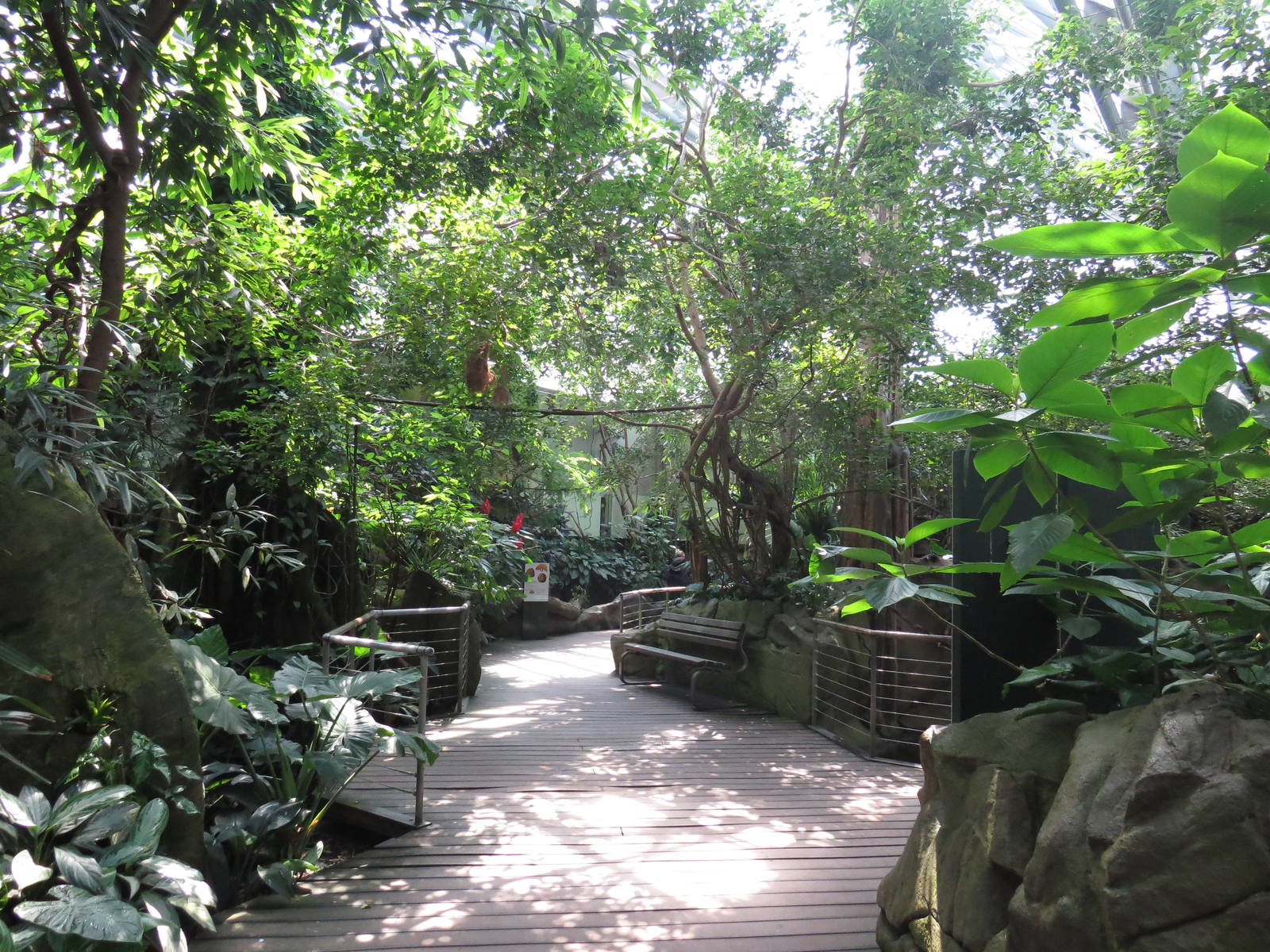Rainforest hall, June 2015.