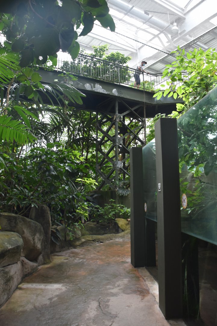 Rainforest Hall view upon entering