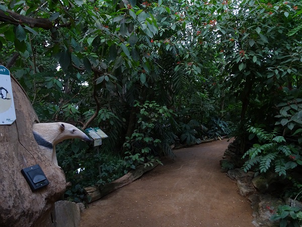 Rainforest house (07/22)