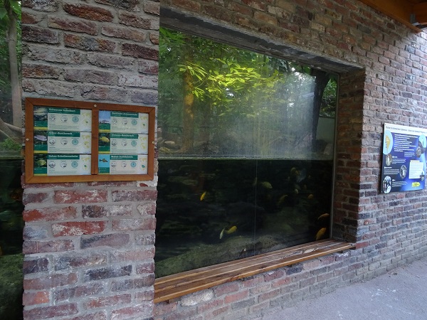 Rainforest house: aquarium seen from outside (07/22)