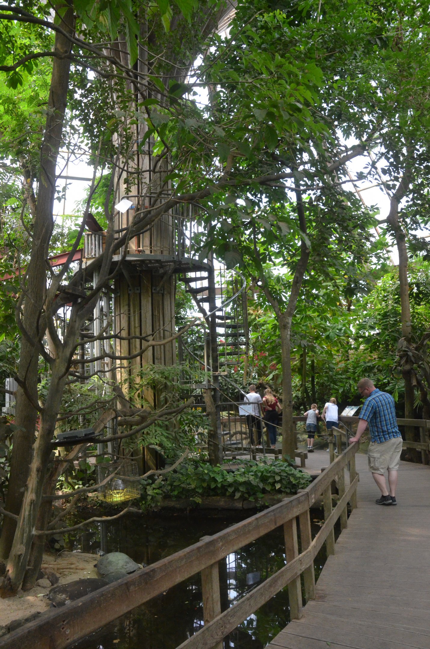 Rainforest House at Krefeld, 15/06/19