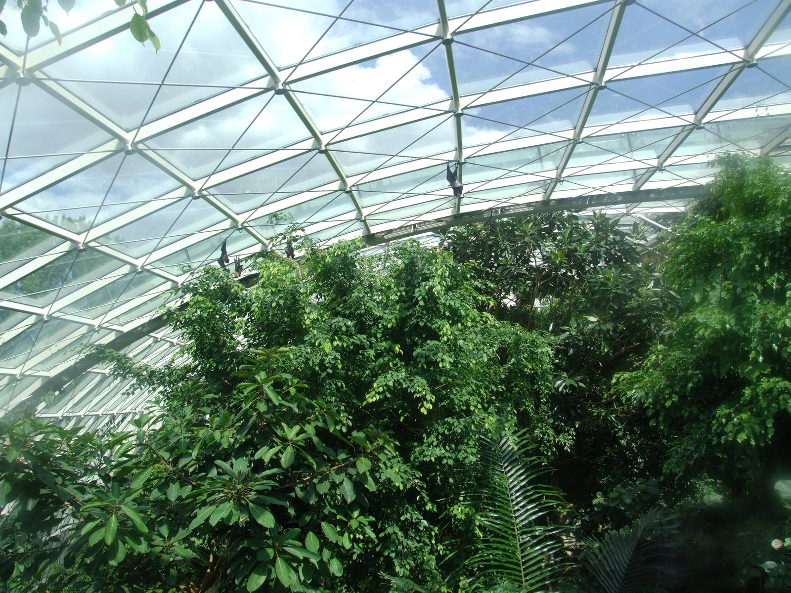 Rainforest House at Vienna, 14/06/13