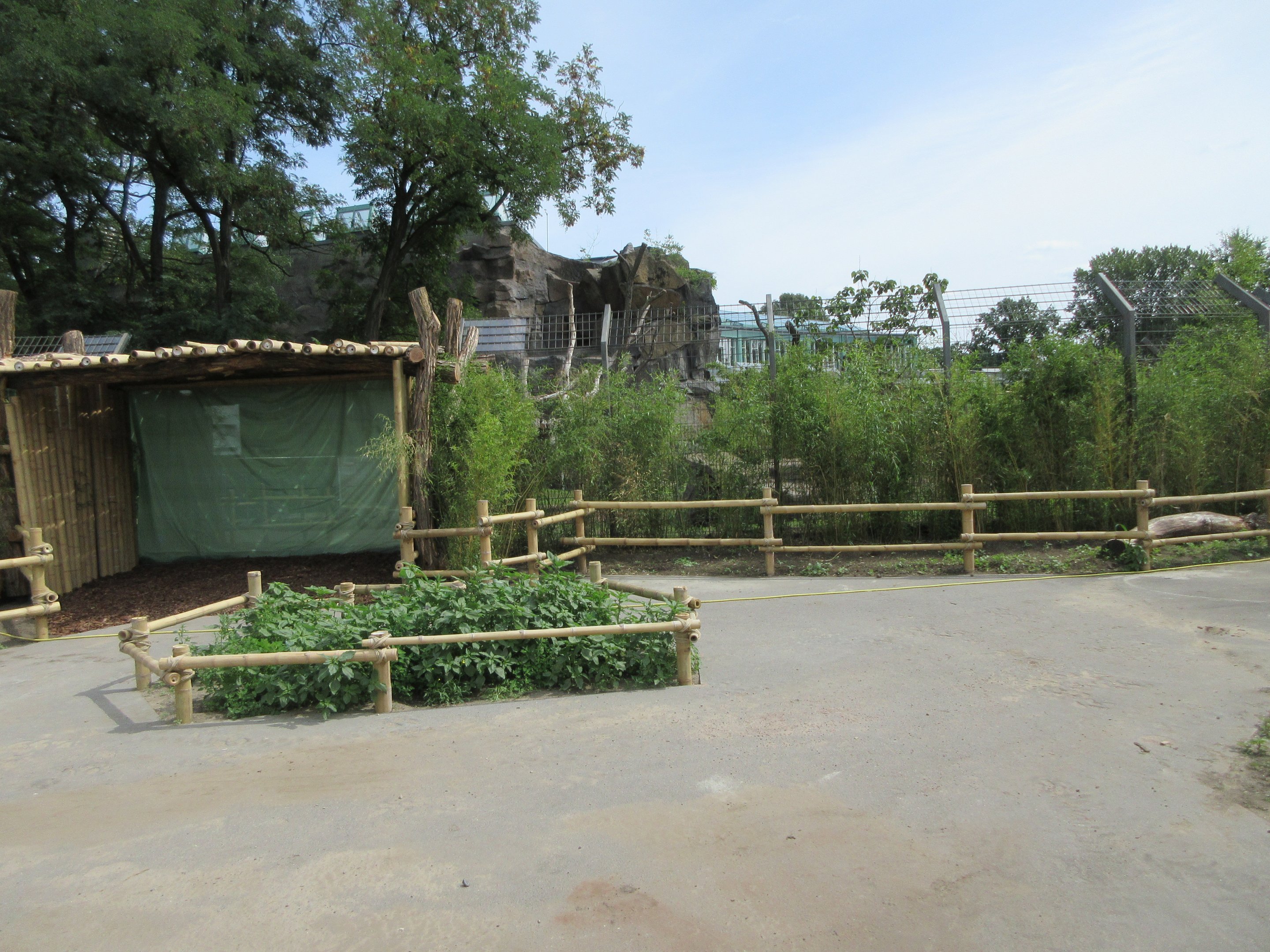 Rainforest House - fully opens in 2020