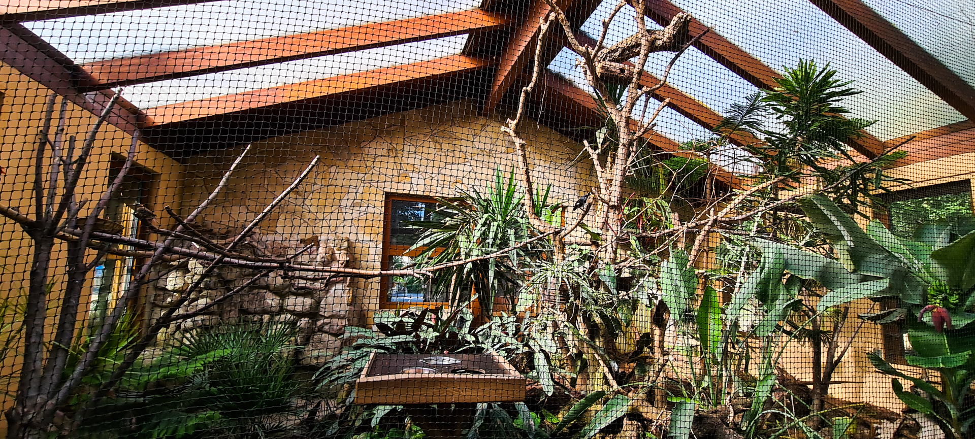 Rainforest house indoor