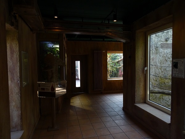 Rainforest House Interior (04/22)