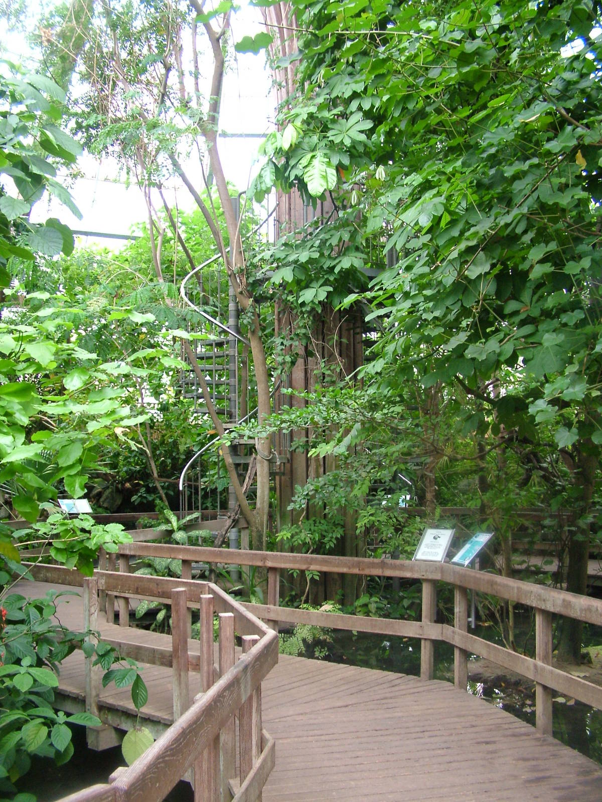Rainforest House interior at Krefeld 15/05/09