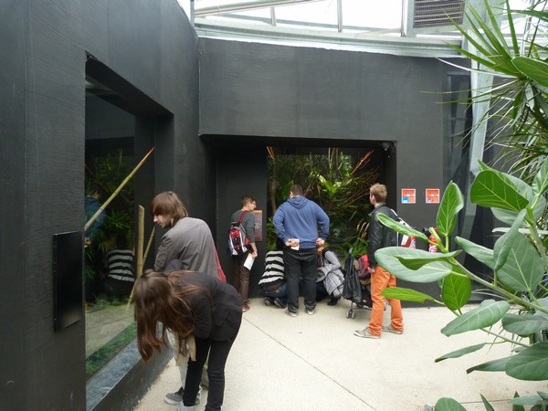 Rainforest House; Madagascar terraria