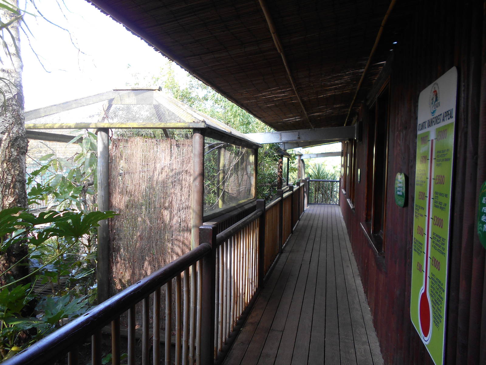 Rainforest House - March 11th 2016