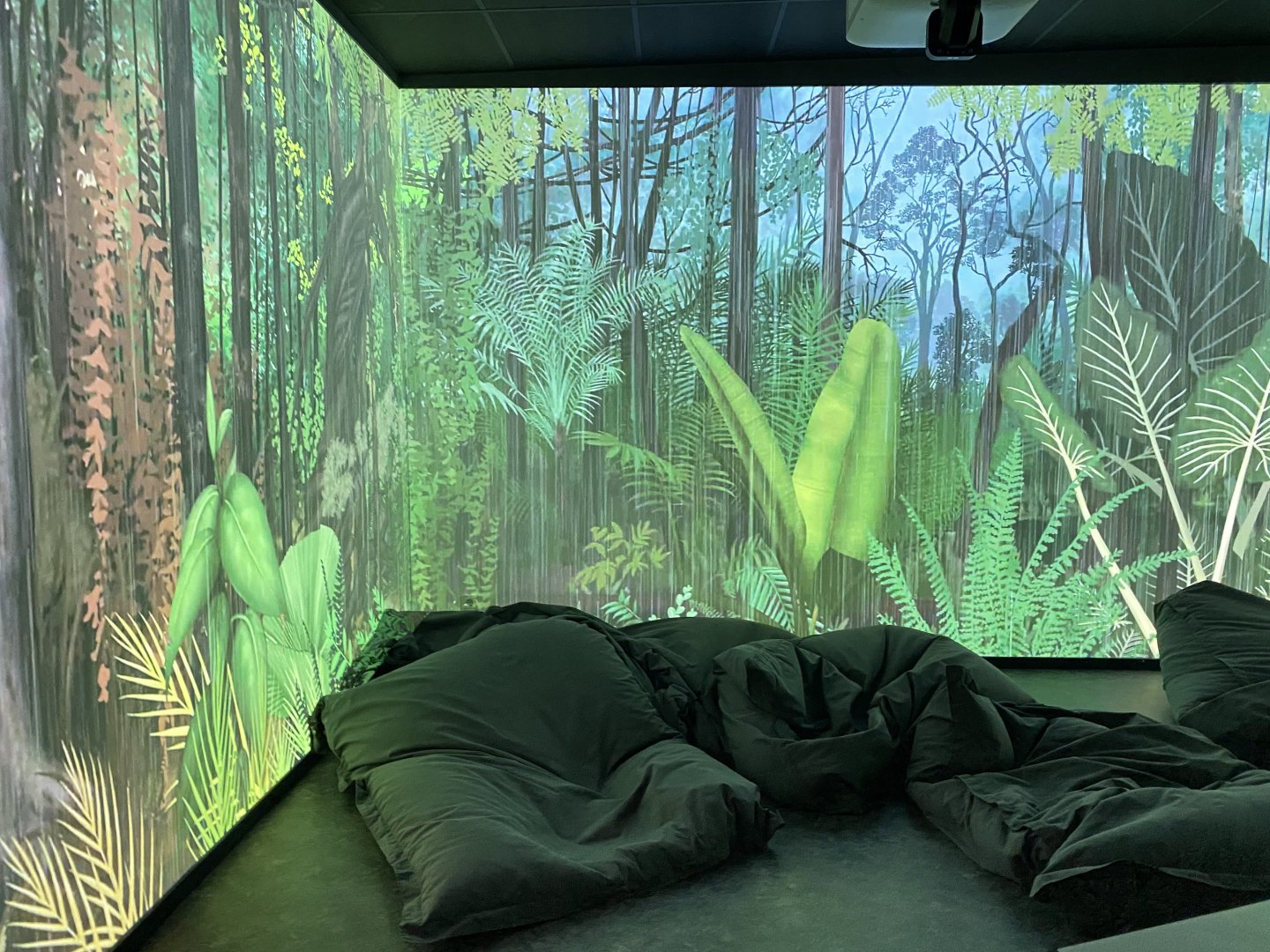 Rainforest house, multimedia room