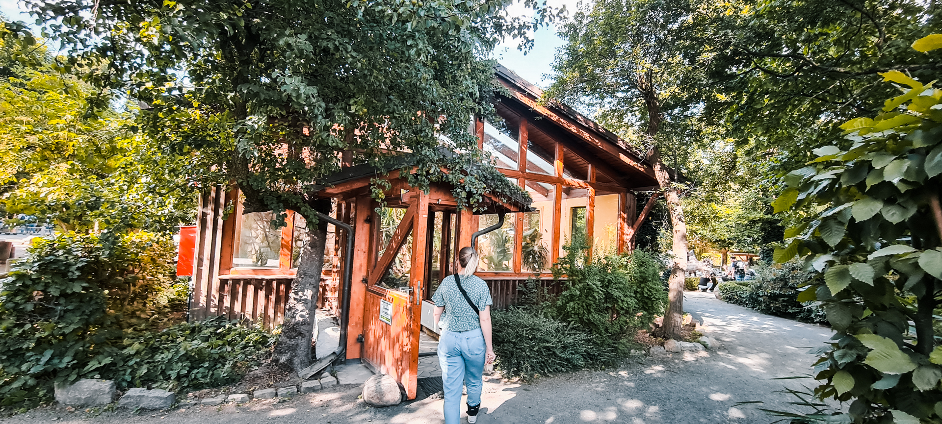 Rainforest house outdoor