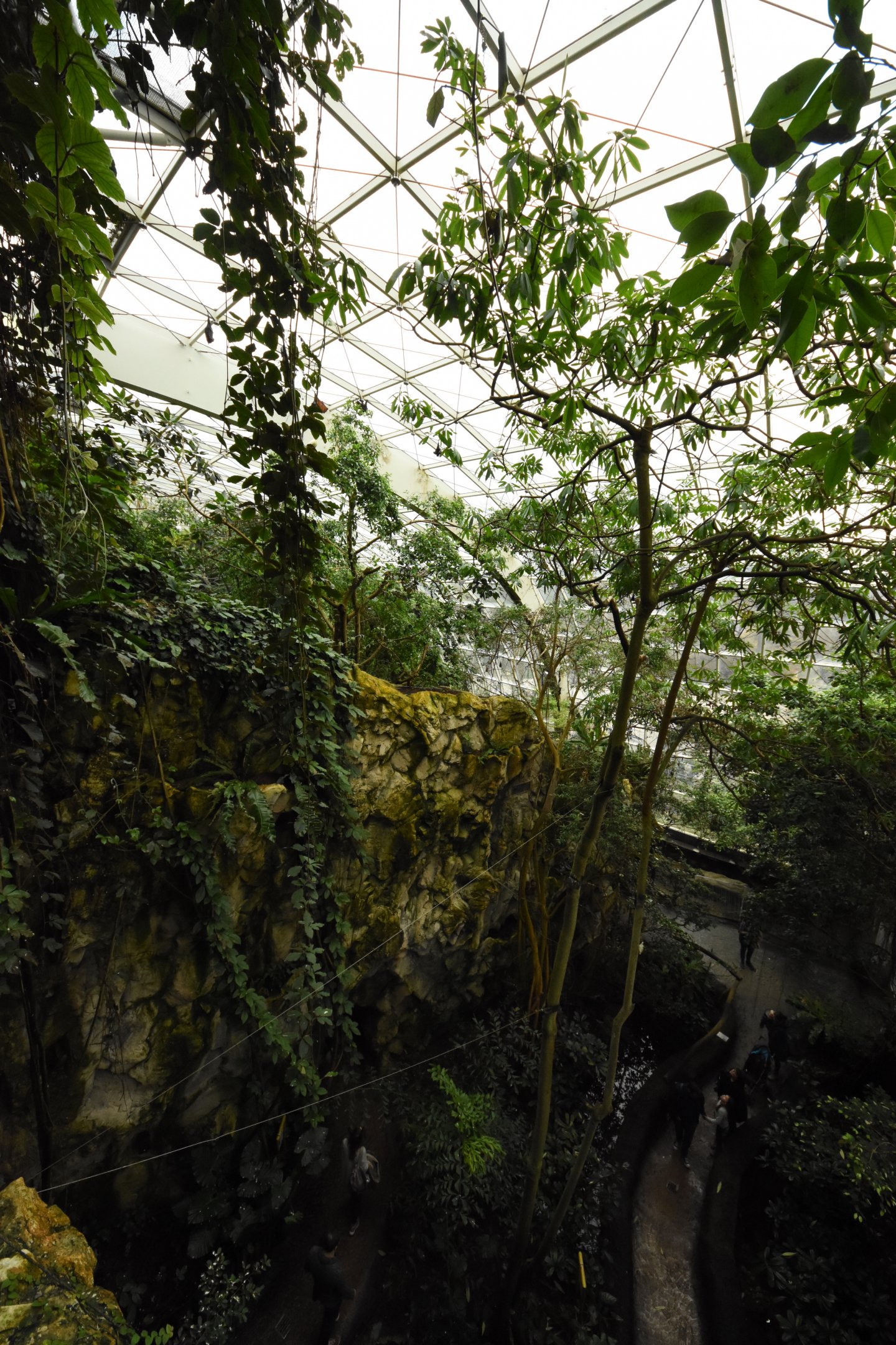 Rainforest house - overview