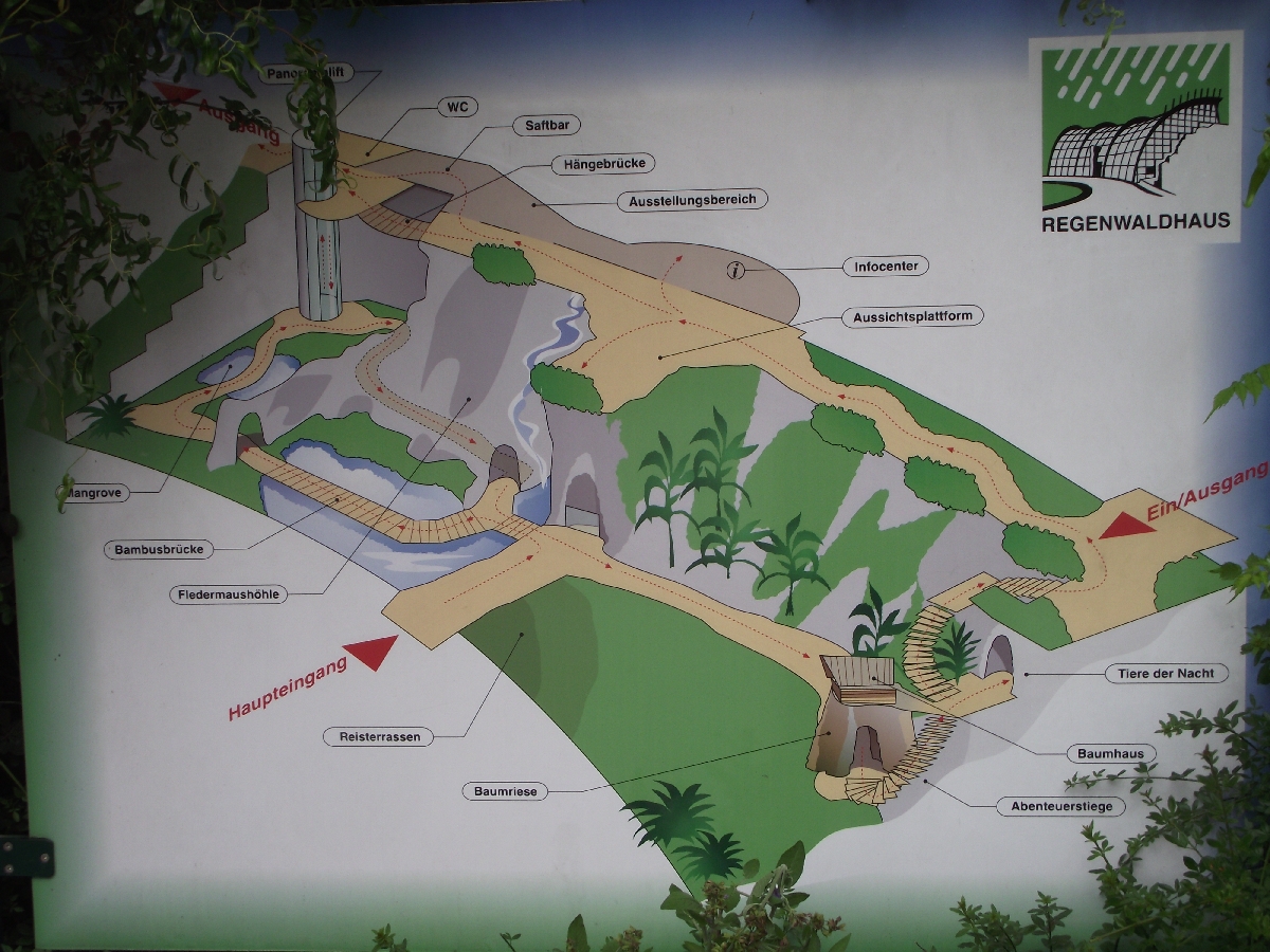 Rainforest House Plan