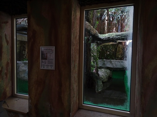 Rainforest House; Pygmy hippo indoor enclosure (04/22)