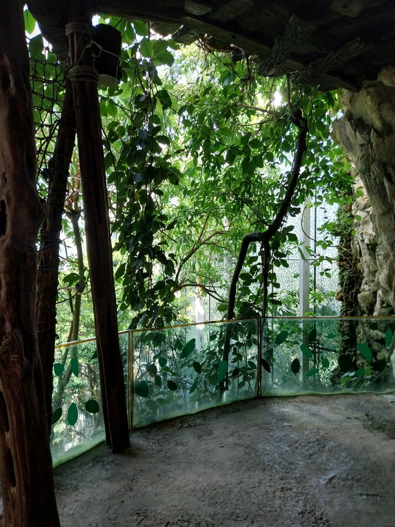 Rainforest House - Upper floor - Grottoe