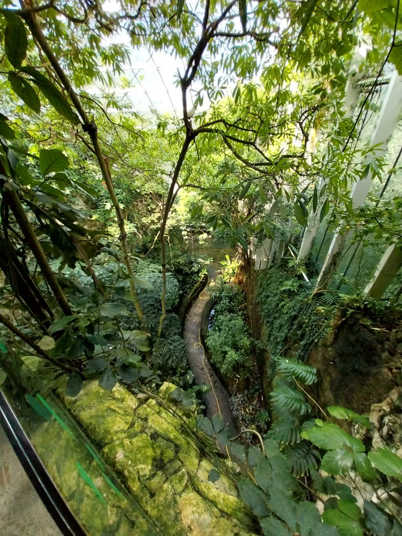Rainforest House - Upper floor