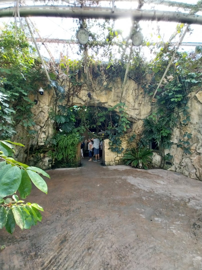 Rainforest House - Upper floor