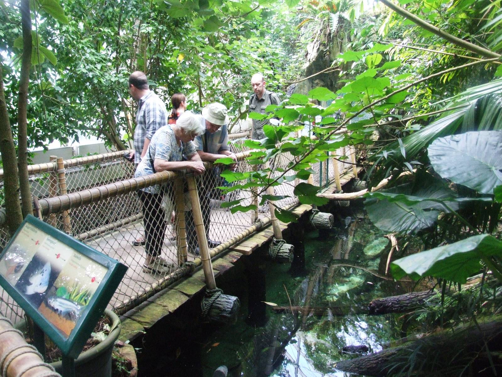 Rainforest House Walkway at Vienna, 14/06/13