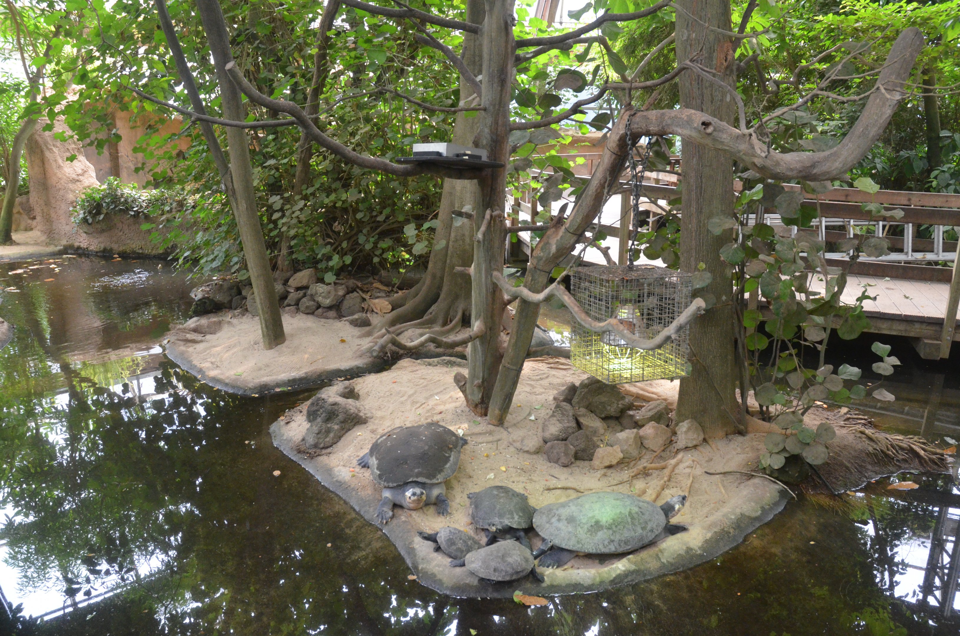 Rainforest House with Arrau at Krefeld, 15/06/19