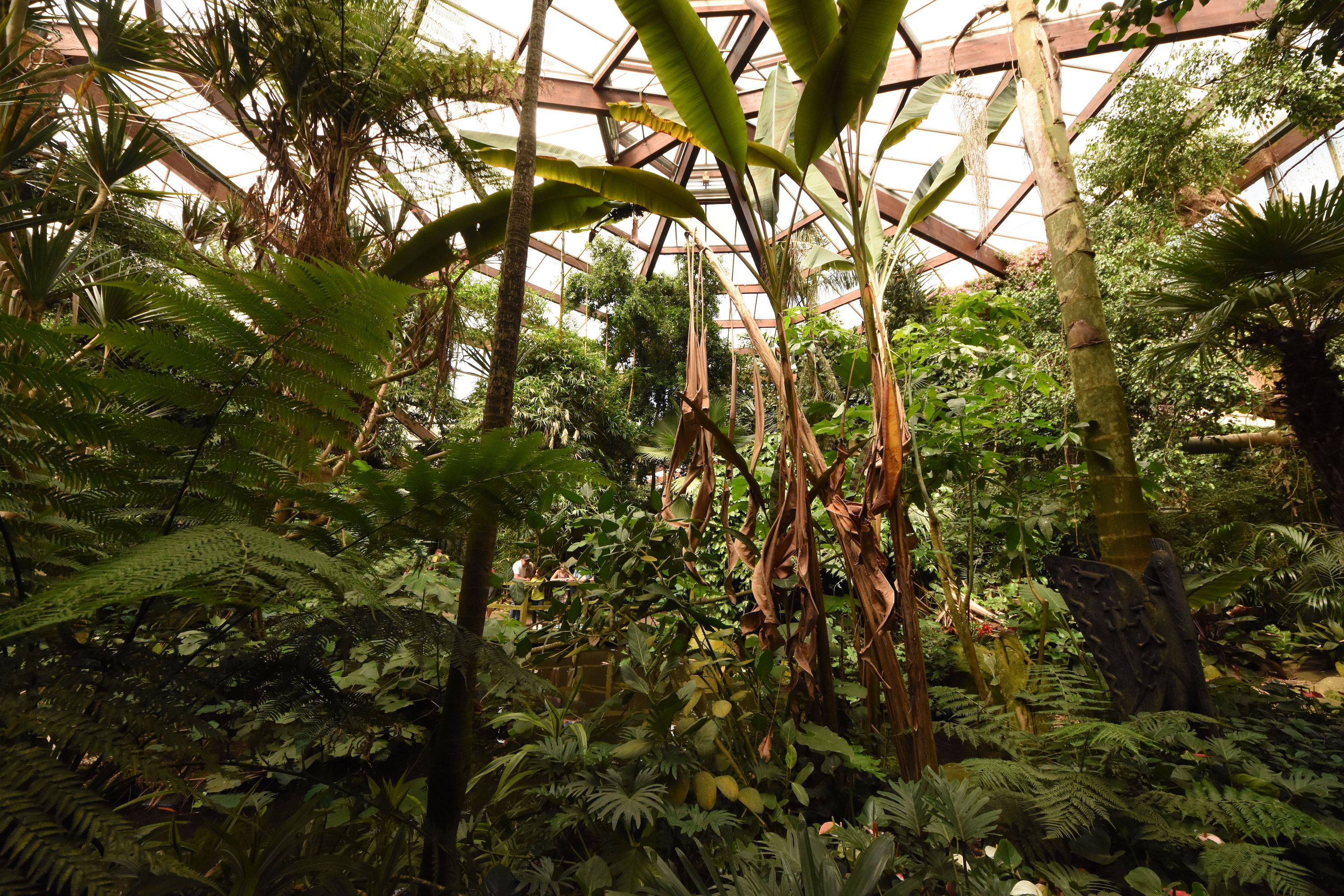 Rainforest house