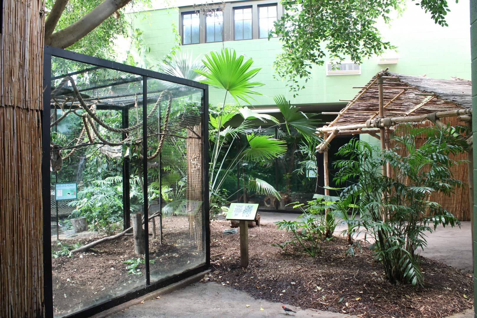 Rainforest House