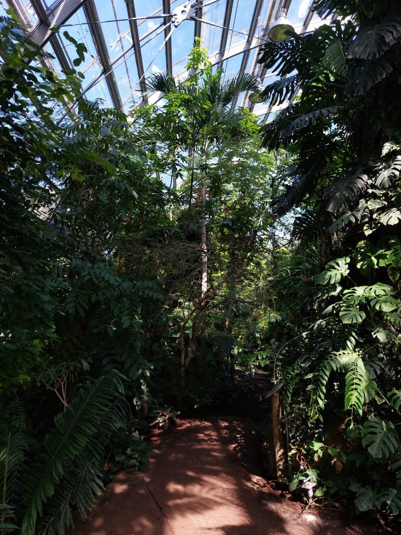 Rainforest house