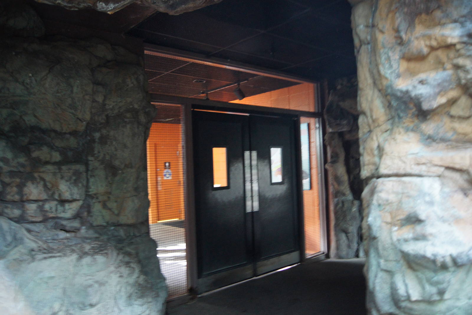 Rainforest Interior - Cave to Door