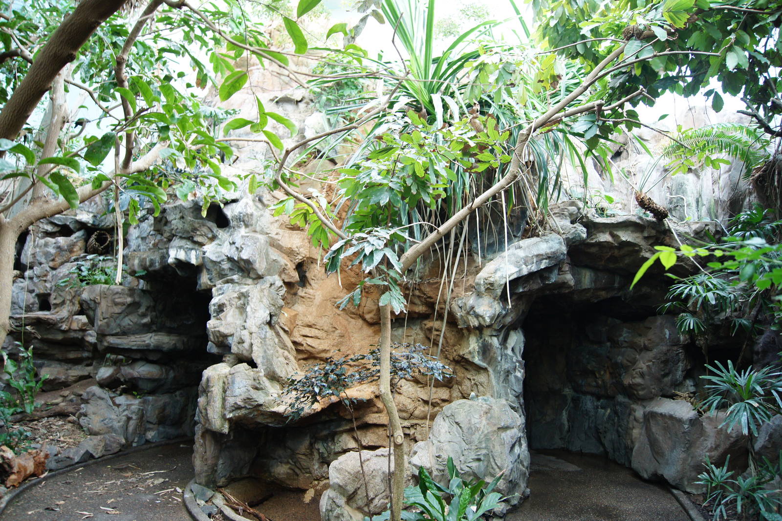 Rainforest Interior - Large Waterfall