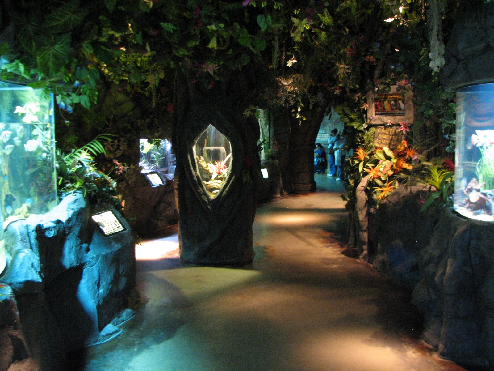 Rainforest - Interior