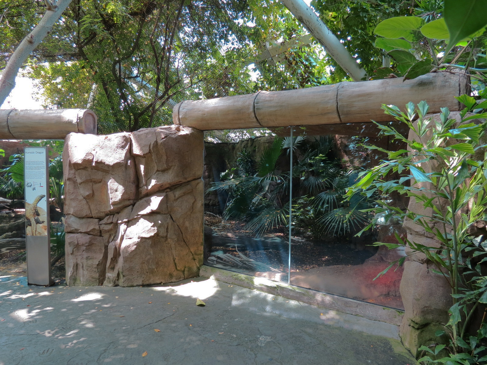 Rainforest - Komodo Dragon Exhibit