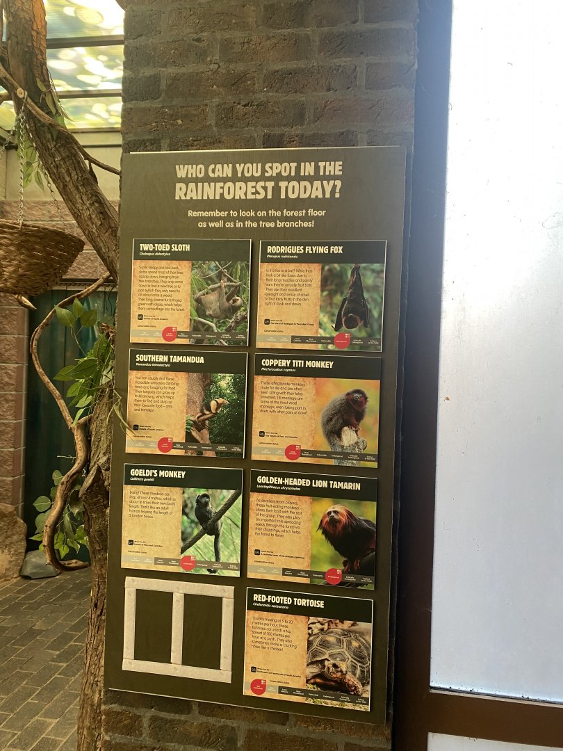 Rainforest Life signage 180322