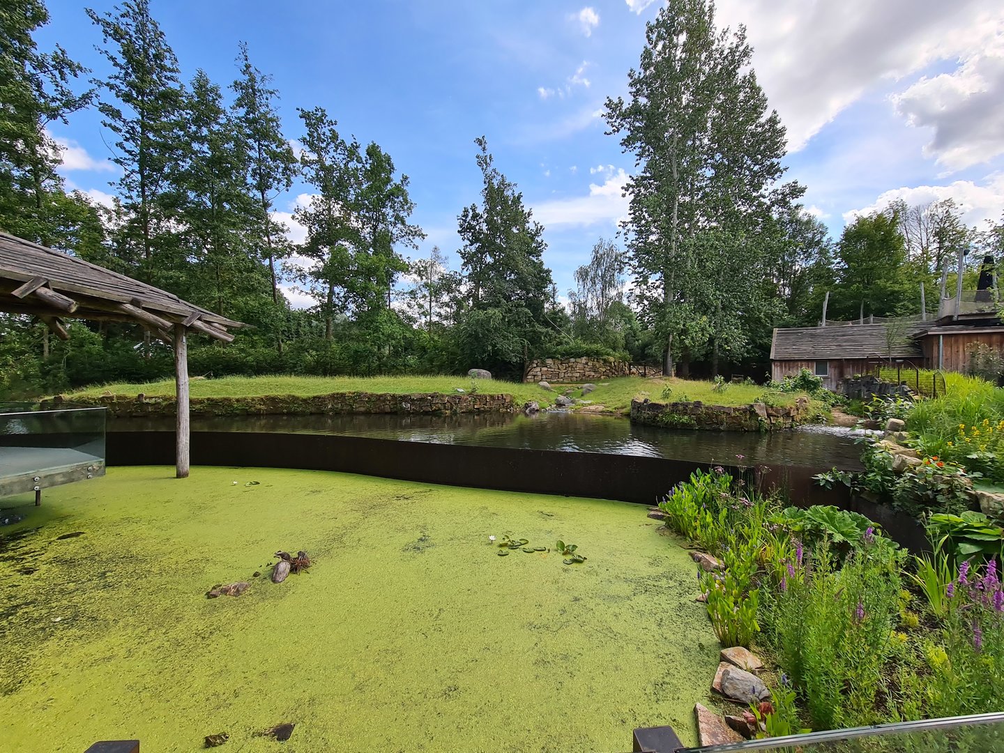 Rainforest - Lowland tapir enclosure