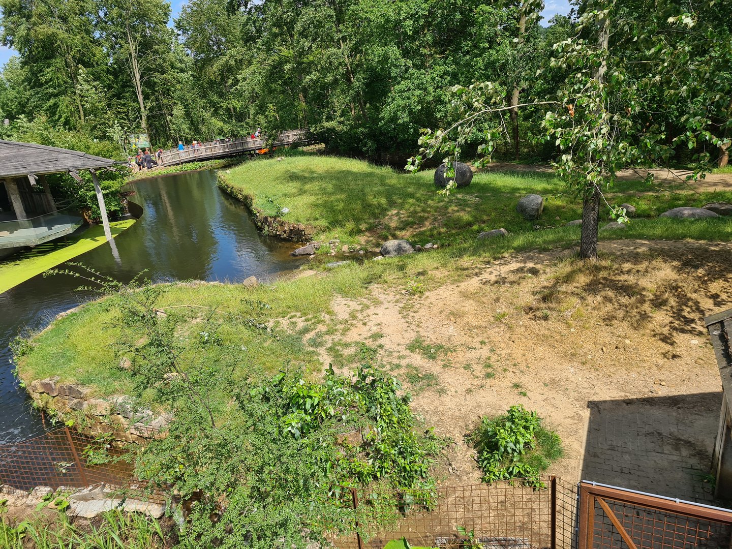 Rainforest - Lowland tapir enclosure