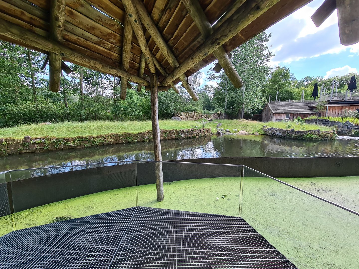 Rainforest - Lowland tapir main viewing point