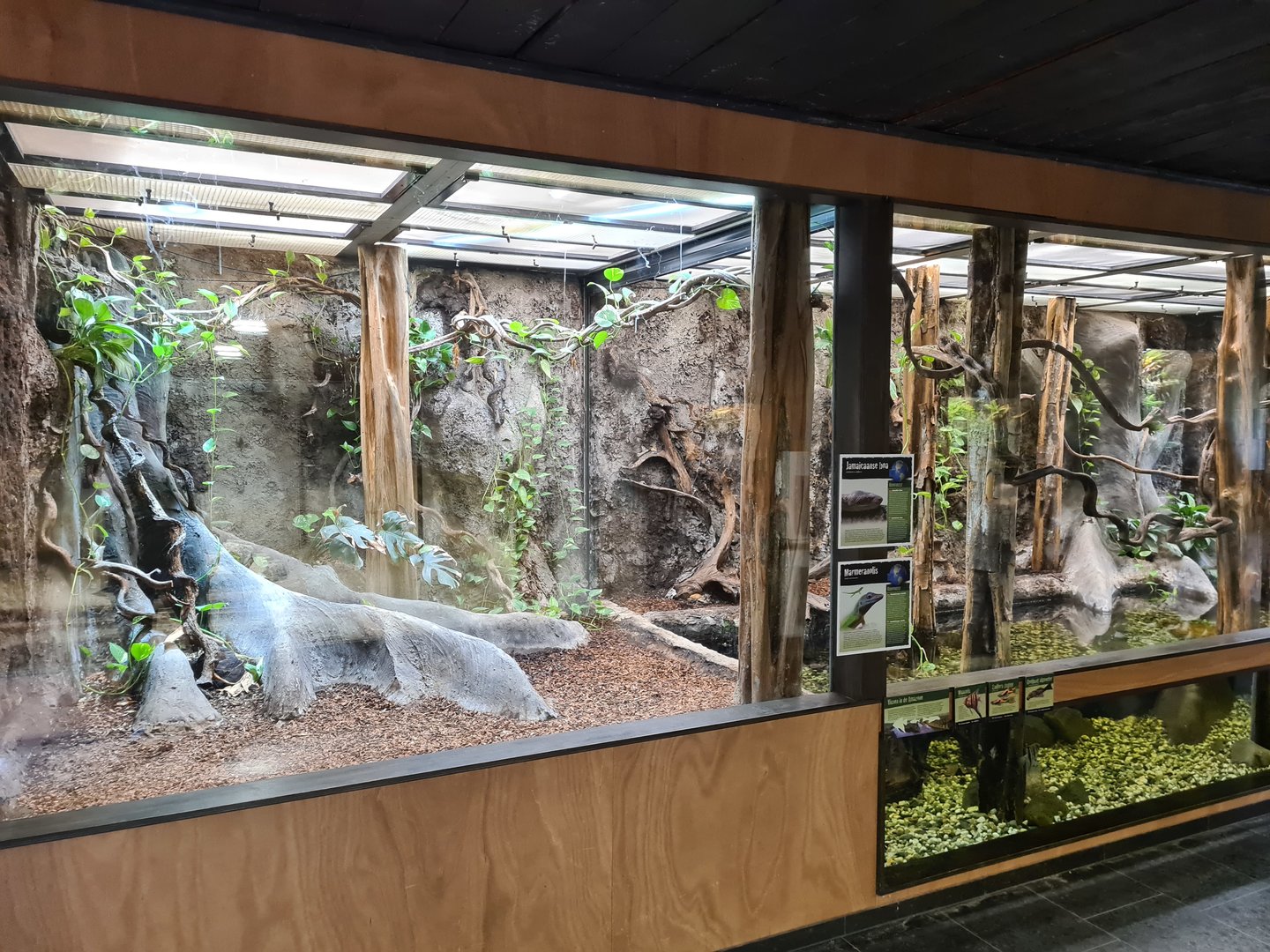 Rainforest - Main enclosure in Tapir Terrarium building