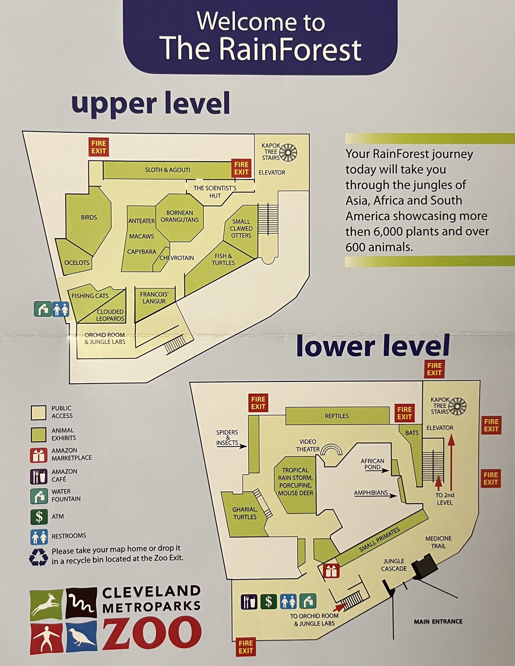RainForest Map - 2010
