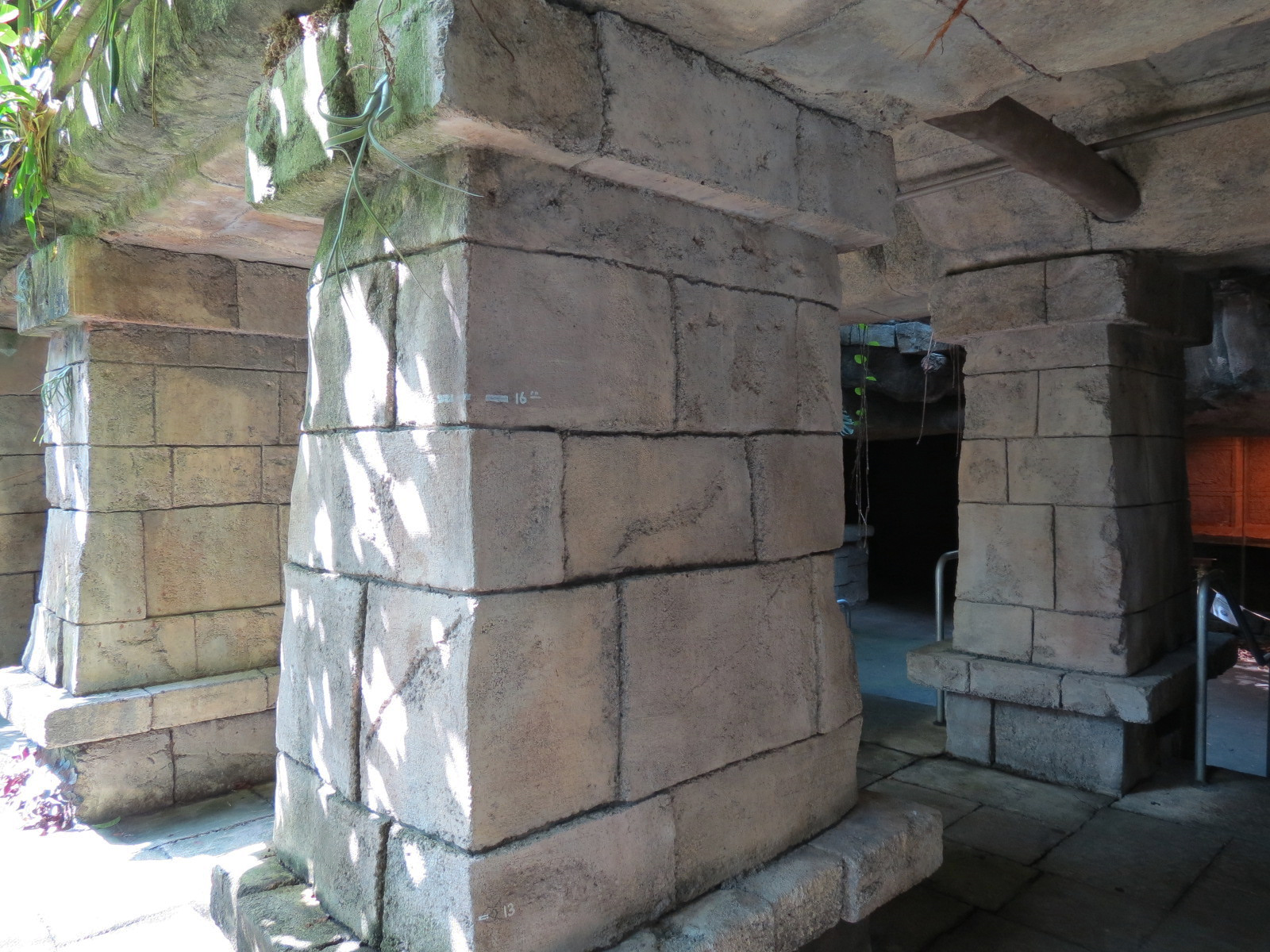 Rainforest - Mayan Temple Area