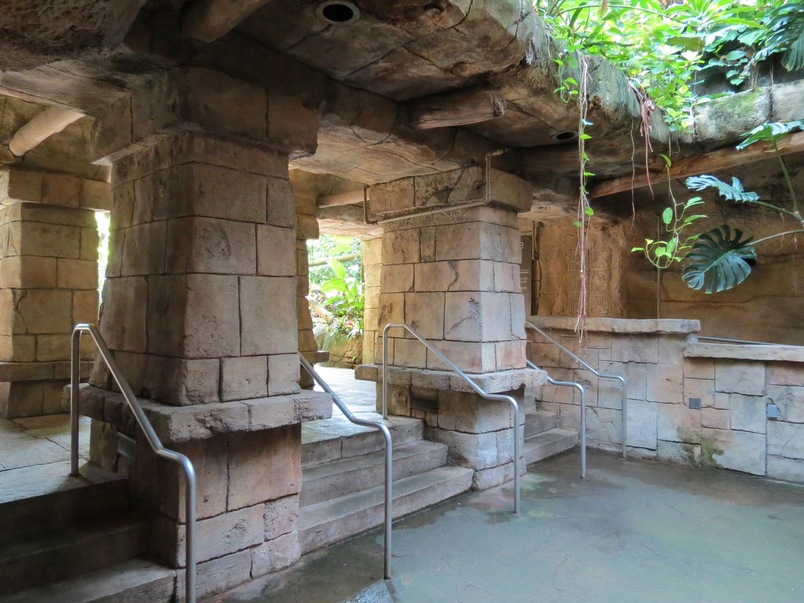 Rainforest - Mayan Temple Area