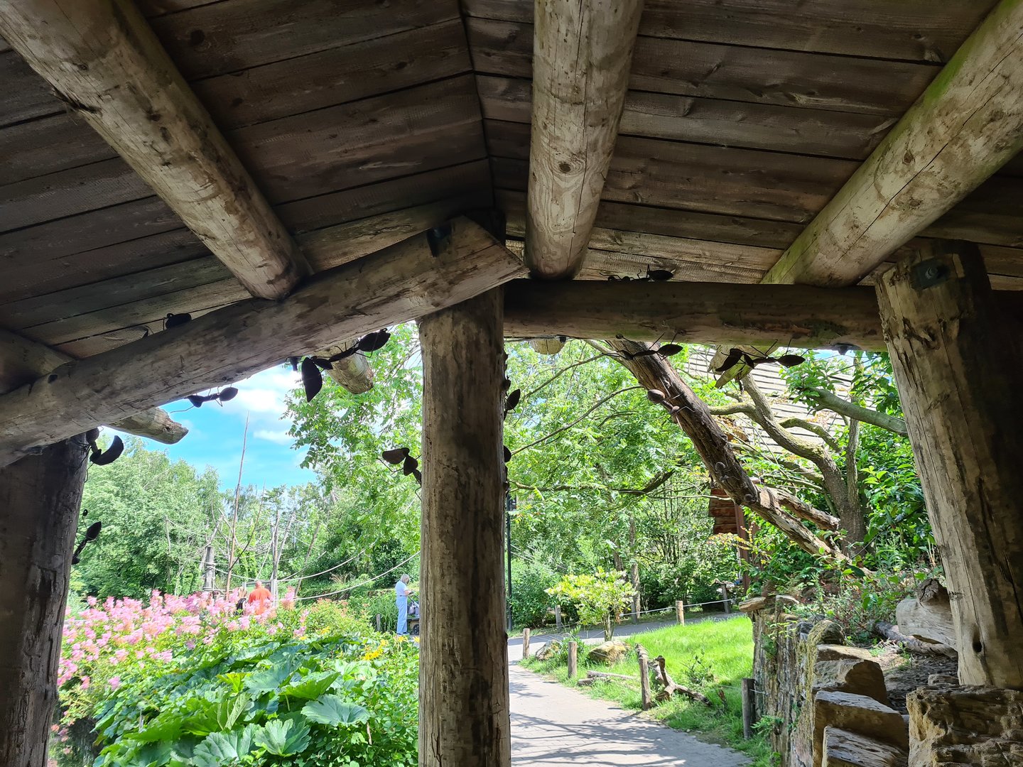 Rainforest - Metal leafcutter ants