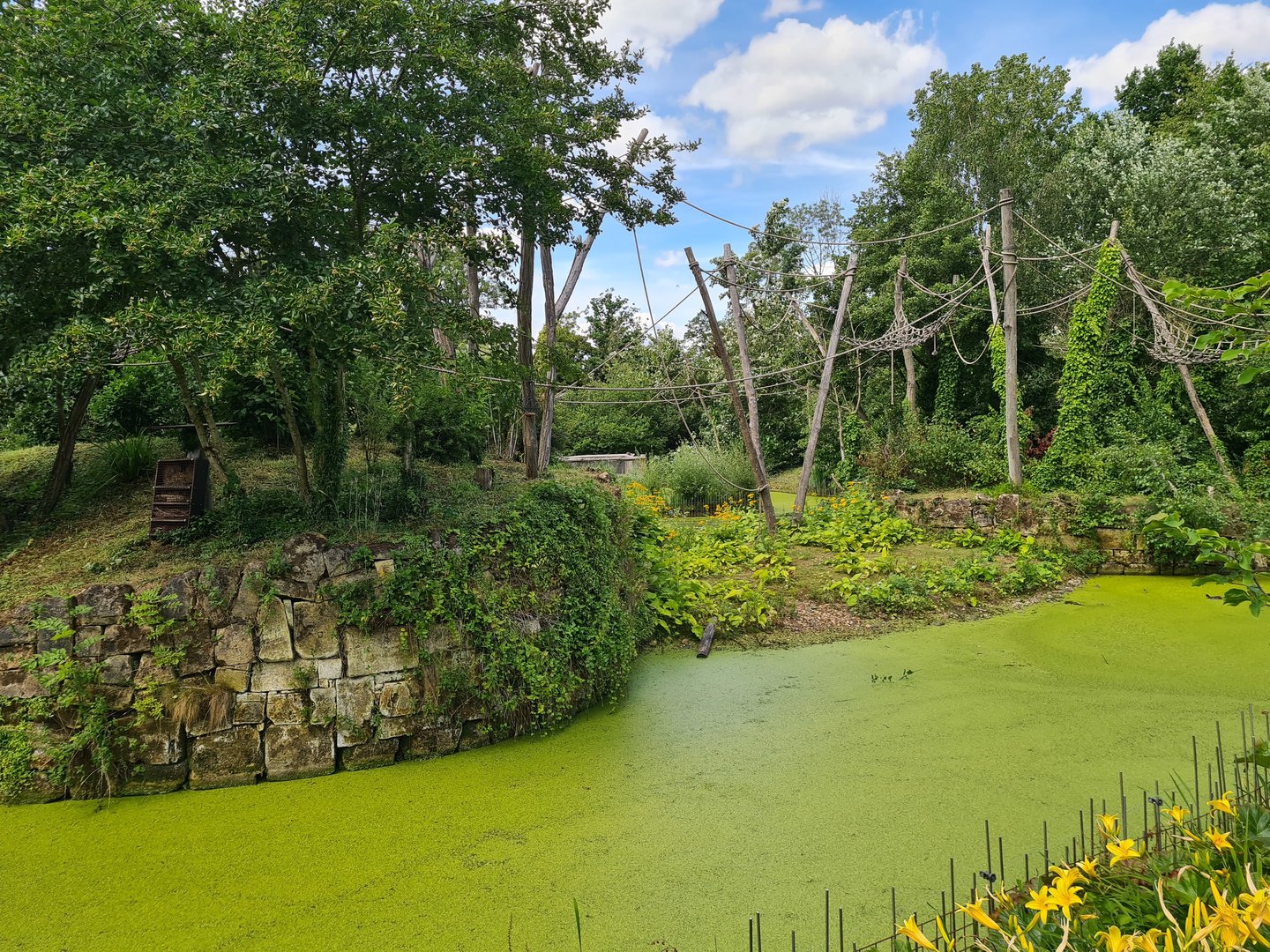 Rainforest - Mixed primate island