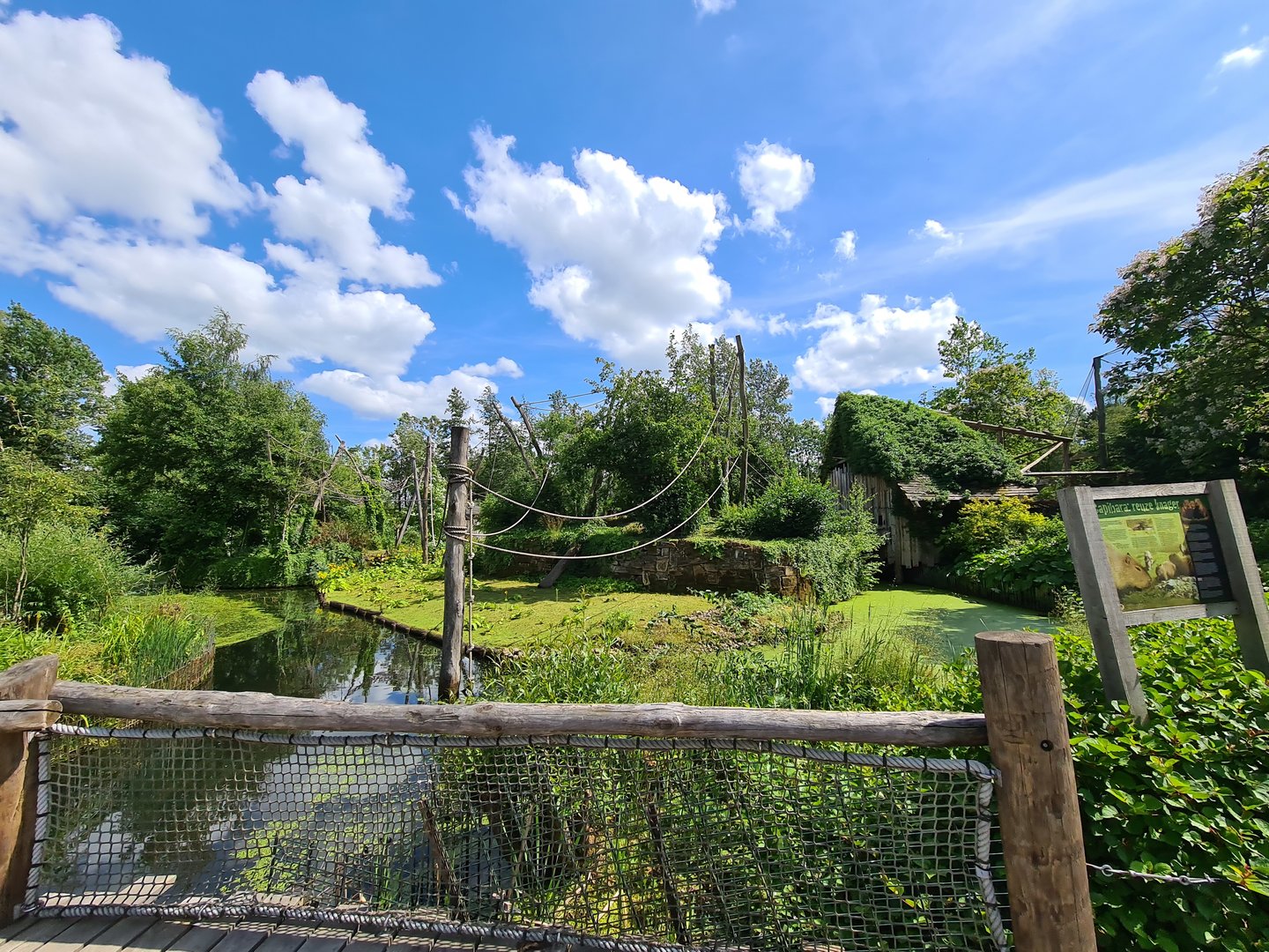 Rainforest - Mixed S. American primates island