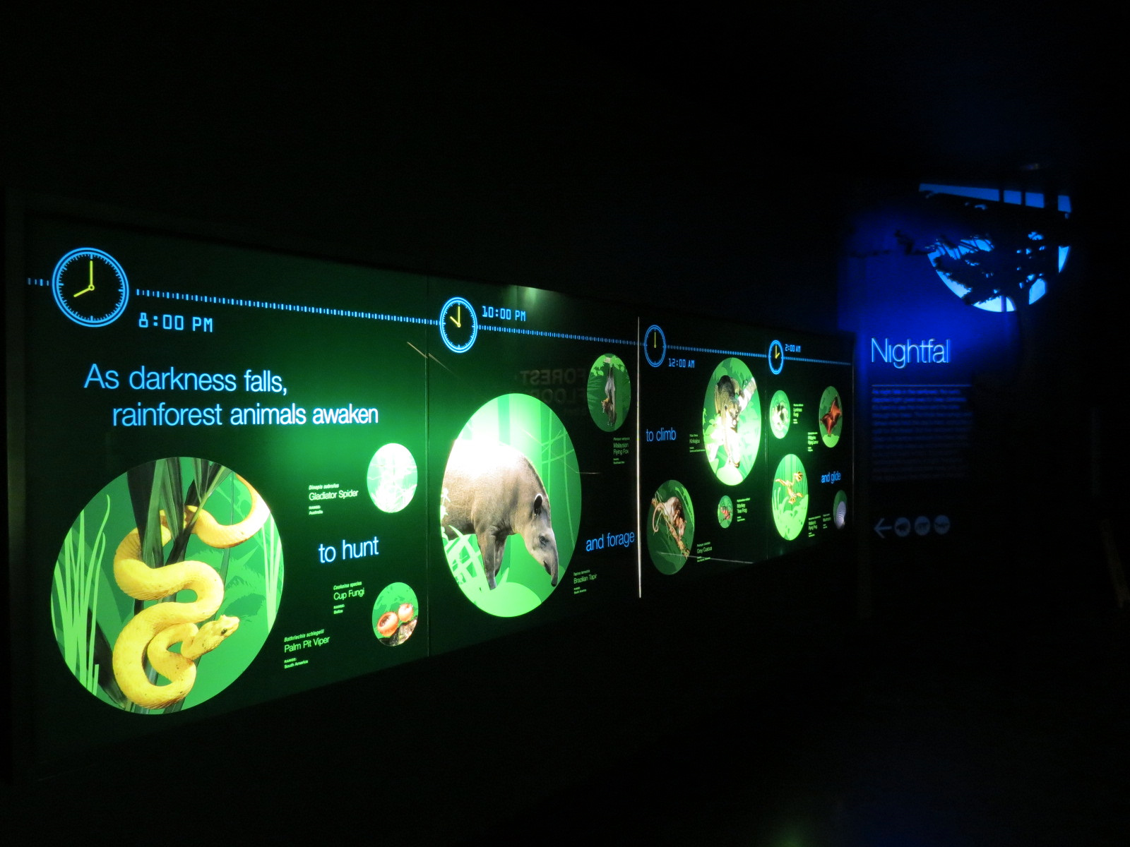 Rainforest - Nightfall Signage