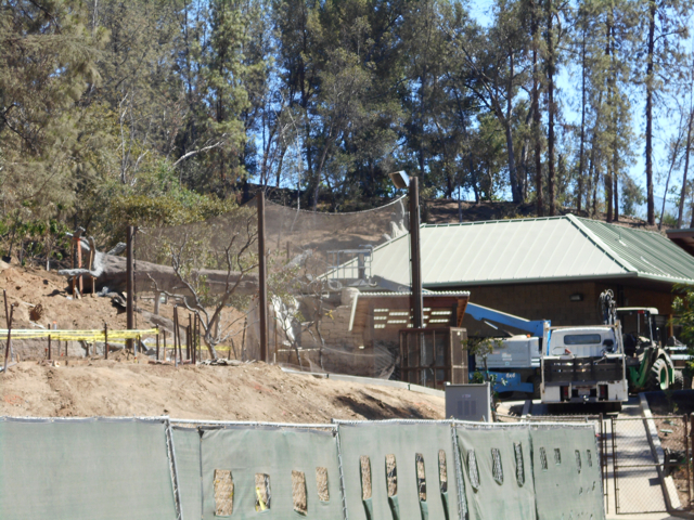 Rainforest of the Americas construction August 23 2013