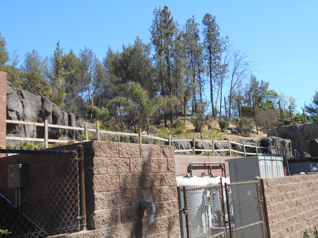 Rainforest of the Americas construction August 23 2013