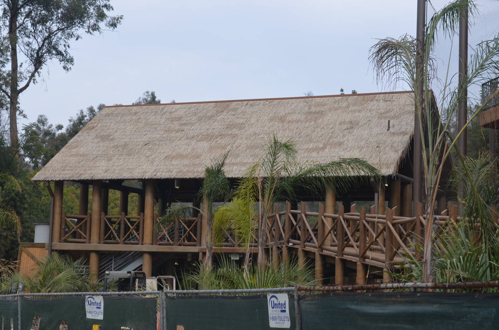 Rainforest of the Americas January 12, 2014