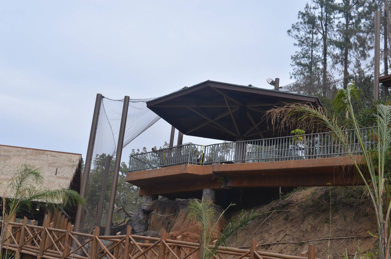 Rainforest of the Americas January 12, 2014