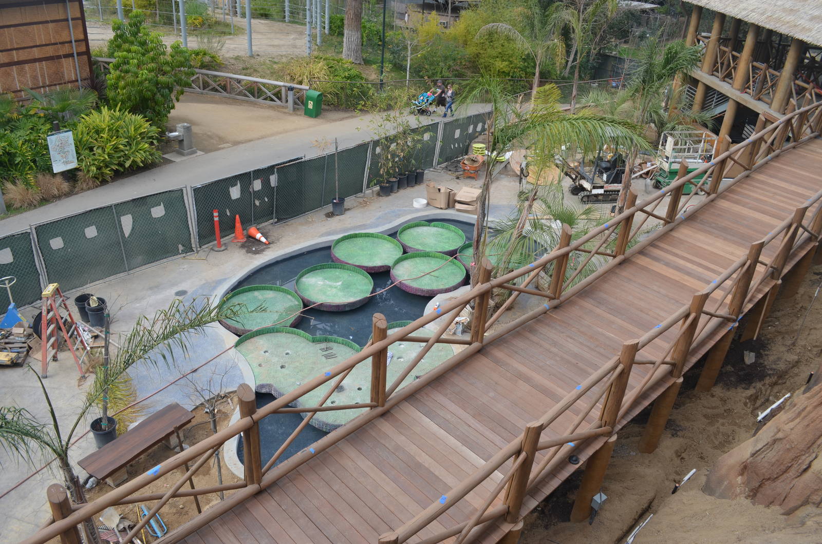 Rainforest of the Americas January 12, 2014