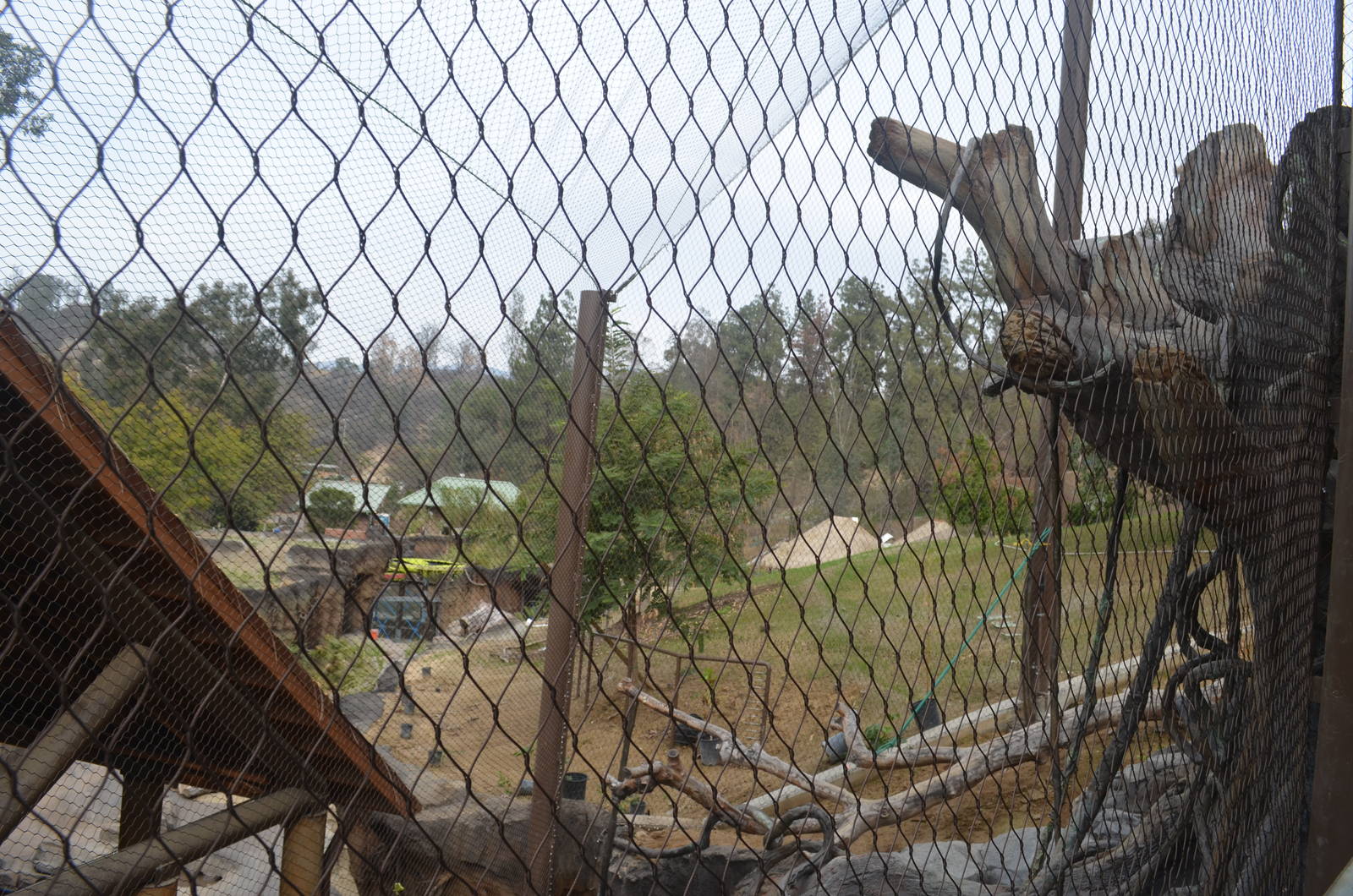 Rainforest of the Americas January 12, 2014