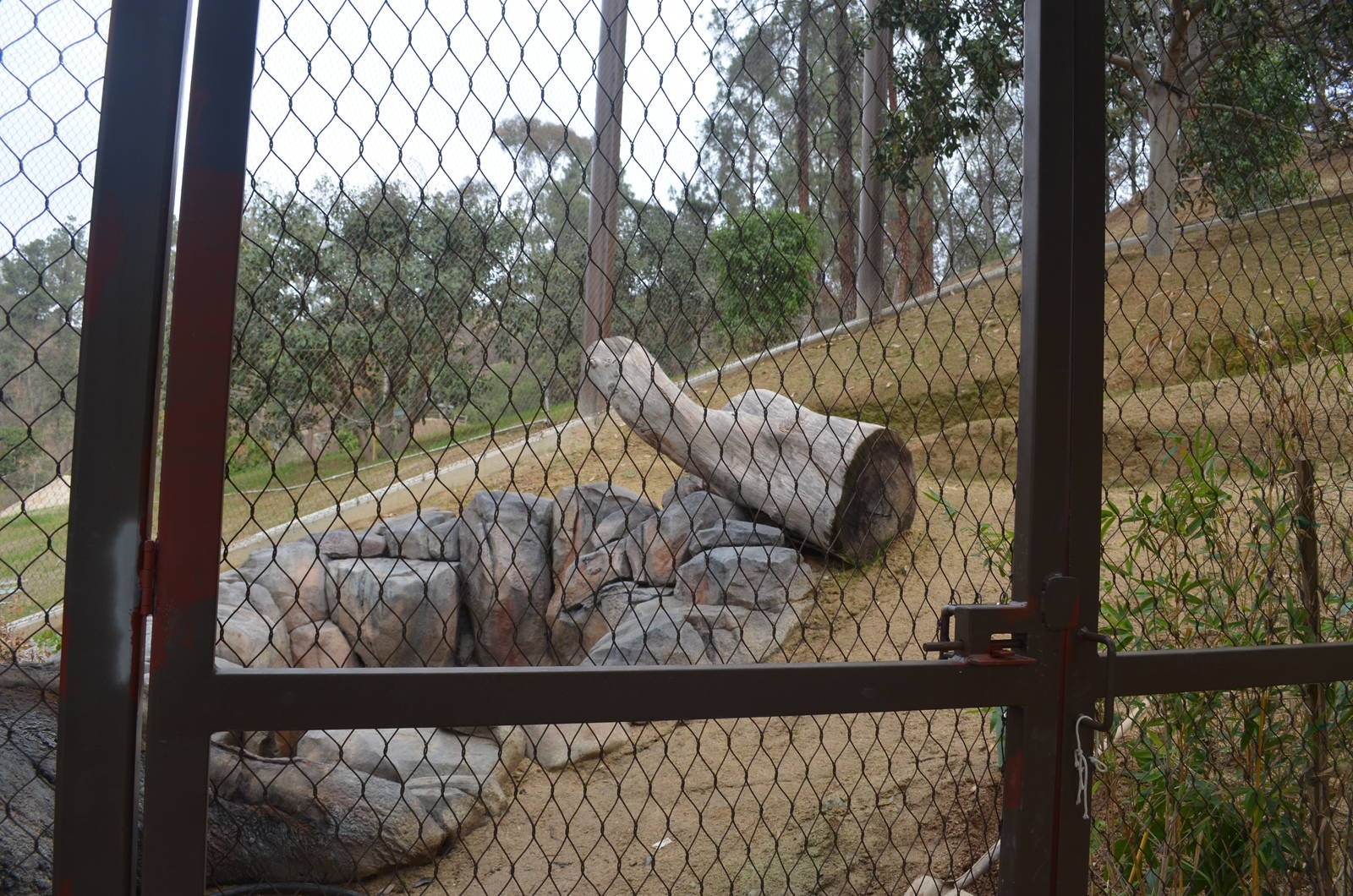 Rainforest of the Americas January 12, 2014